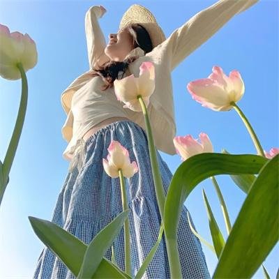 五女闹京城